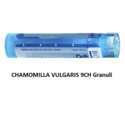 CHAMOMILLA BOI*9CH GR 4G CHAMOMILLA BOI*9CH GR 4G