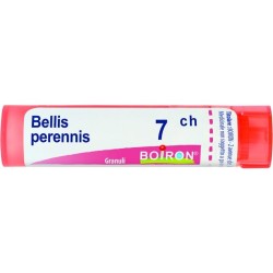 BELLIS PEREN BOI*7CH GR 4G