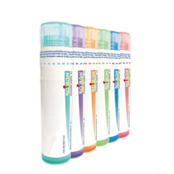 CHINA REGIA BOI*15CH GR 4G