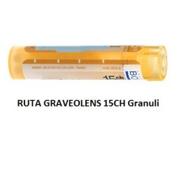 RUTA GRAV BOI*15CH GR 4G
