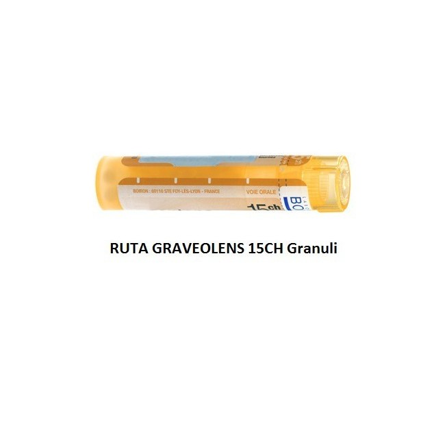RUTA GRAV BOI*15CH GR 4G RUTA GRAV BOI*15CH GR 4G