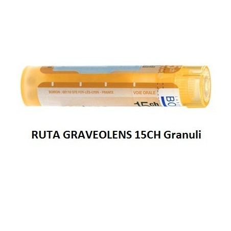 RUTA GRAV BOI*15CH GR 4G RUTA GRAV BOI*15CH GR 4G