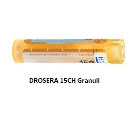 DROSERA BOI*15CH GR 4G DROSERA BOI*15CH GR 4G