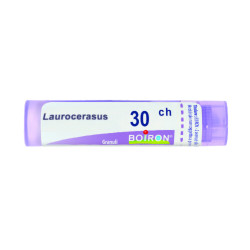 LAUROCERASUS BOI*30CH GR 4G