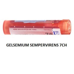 GELSEMIUM SEM BOI*7CH GR 4G GELSEMIUM SEM BOI*7CH GR 4G