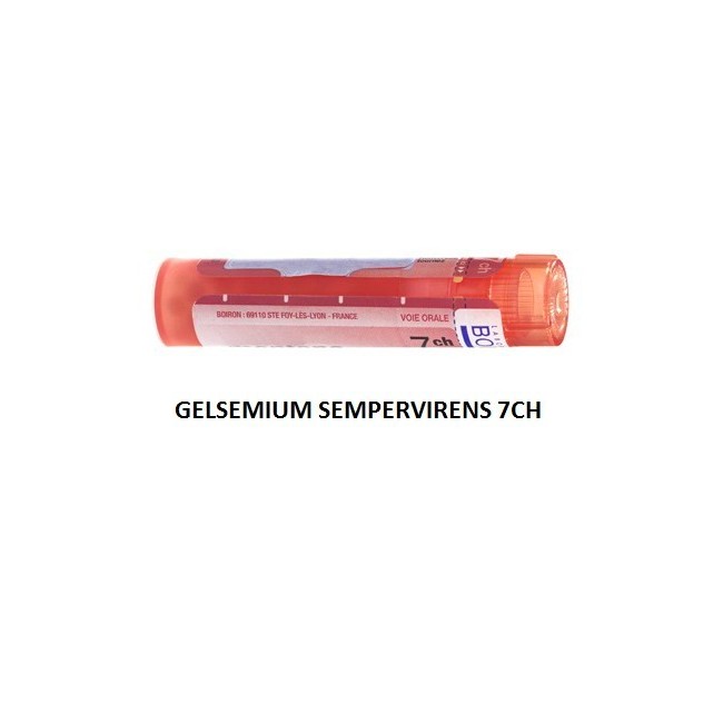 GELSEMIUM SEM BOI*7CH GR 4G GELSEMIUM SEM BOI*7CH GR 4G