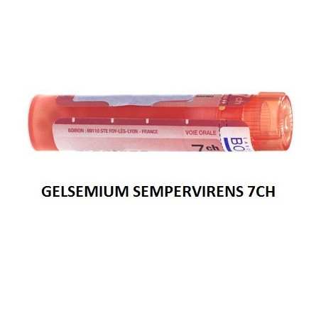 GELSEMIUM SEM BOI*7CH GR 4G GELSEMIUM SEM BOI*7CH GR 4G