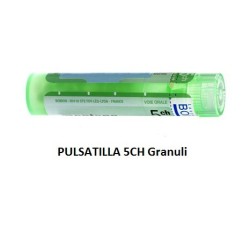 PULSATILLA BOI*5CH GR 4G