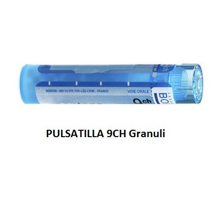 PULSATILLA BOI*9CH GR 4G PULSATILLA BOI*9CH GR 4G