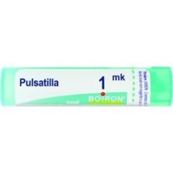 PULSATILLA BOI*1000K GR 4G