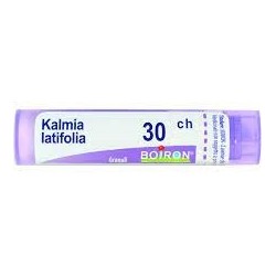 KALMIA LATIF BOI*30CH GR 4G