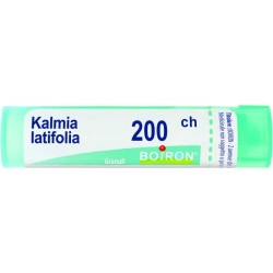 KALMIA LATIF BOI*200CH GR 4G