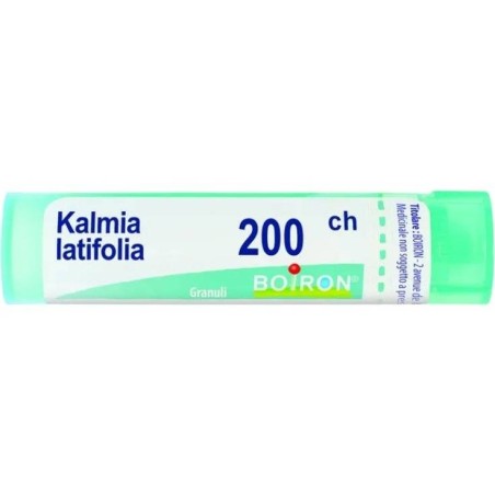 KALMIA LATIF BOI*200CH GL 1G KALMIA LATIF BOI*200CH GL 1G