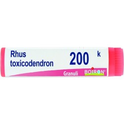 RHUS TOX BOI*200K GR 4G