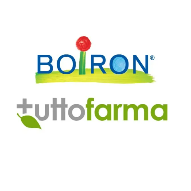 SYMPHYTUM OFF BOI*6CH GR 4G SYMPHYTUM OFF BOI*6CH GR 4G