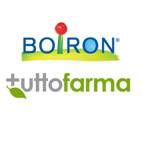 SYMPHYTUM OFF BOI*6CH GR 4G SYMPHYTUM OFF BOI*6CH GR 4G