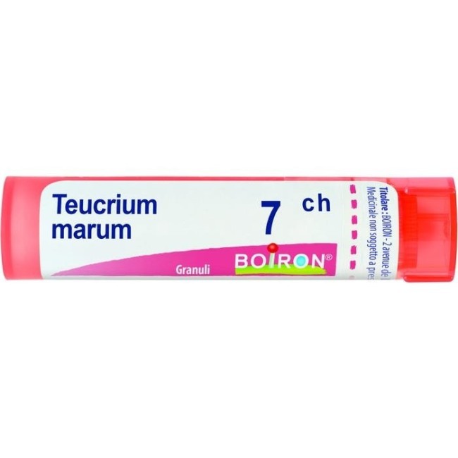 TEUCRIUM MAR BOI*7CH GR 4G TEUCRIUM MAR BOI*7CH GR 4G