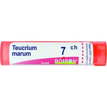 TEUCRIUM MAR BOI*7CH GR 4G TEUCRIUM MAR BOI*7CH GR 4G
