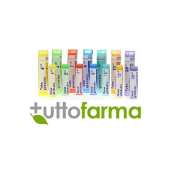 ABROTANUM BOI*5CH GR 4G