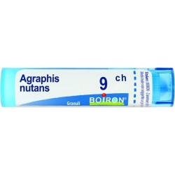 AGRAPHIS NUT BOI*9CH GR 4G