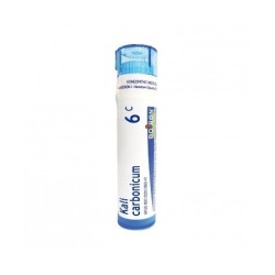 KALIUM CARB BOI*6CH GR 4G