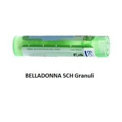 BELLADONNA BOI*5CH GR 4G