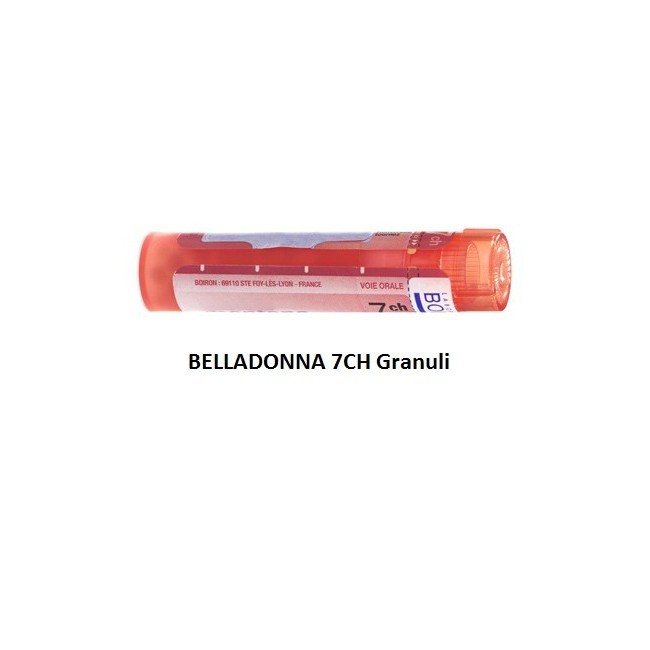 BELLADONNA BOI*7CH GR 4G BELLADONNA BOI*7CH GR 4G
