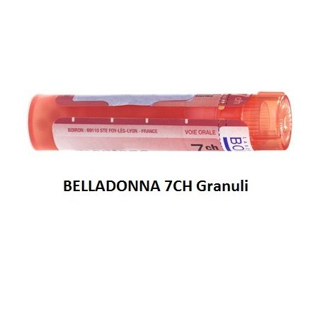BELLADONNA BOI*7CH GR 4G BELLADONNA BOI*7CH GR 4G