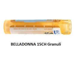 BELLADONNA BOI*15CH GR 4G