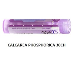 CALCAREA PHOS BOI*30CH GR 4G CALCAREA PHOS BOI*30CH GR 4G
