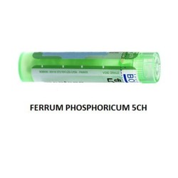 FERRUM PHOSPH BOI*5CH GR 4G