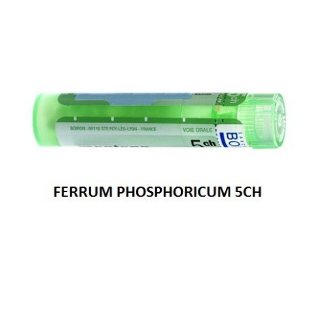 FERRUM PHOSPH BOI*5CH GR 4G FERRUM PHOSPH BOI*5CH GR 4G