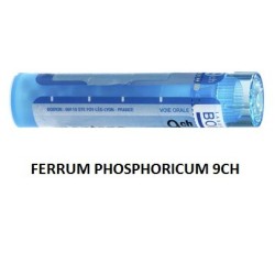 FERRUM PHOSPH BOI*9CH GR 4G FERRUM PHOSPH BOI*9CH GR 4G