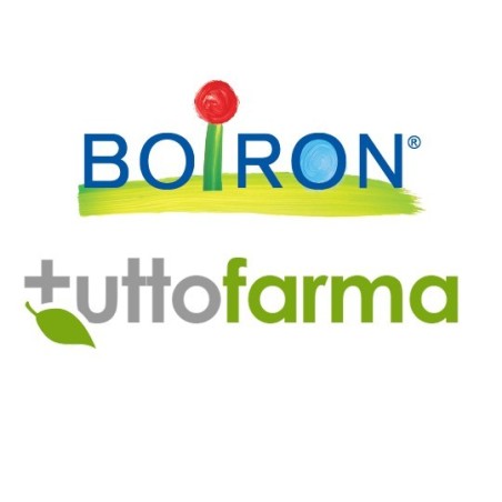 GRAPHITES BOI*7CH GL 1G GRAPHITES BOI*7CH GL 1G