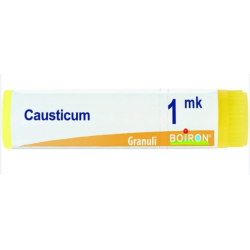 CAUSTICUM BOI*1MK GL 1G