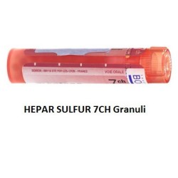 HEPAR SULFUR BOI*7CH GR 4G