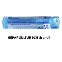 HEPAR SULFUR BOI*9CH GR 4G