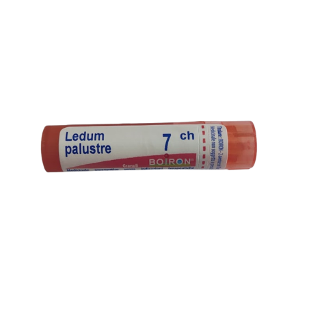 LEDUM PALUSTRE BOI*7CH GR 4G LEDUM PALUSTRE BOI*7CH GR 4G