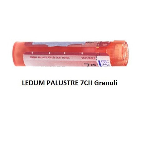 LEDUM PALUSTRE BOI*7CH GR 4G LEDUM PALUSTRE BOI*7CH GR 4G
