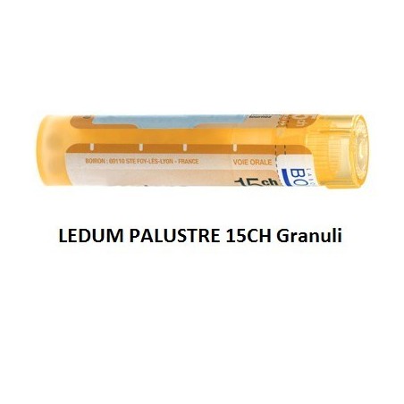 LEDUM PALUSTRE BOI*15CH GR 4G