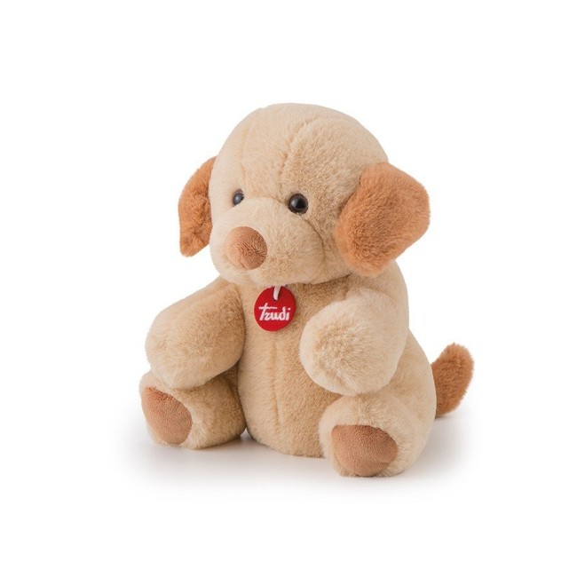 TRUDI SCALDASOGNI KOALA