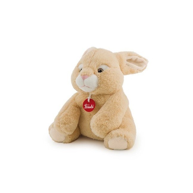 TRUDI SCALDASOGNI KOALA