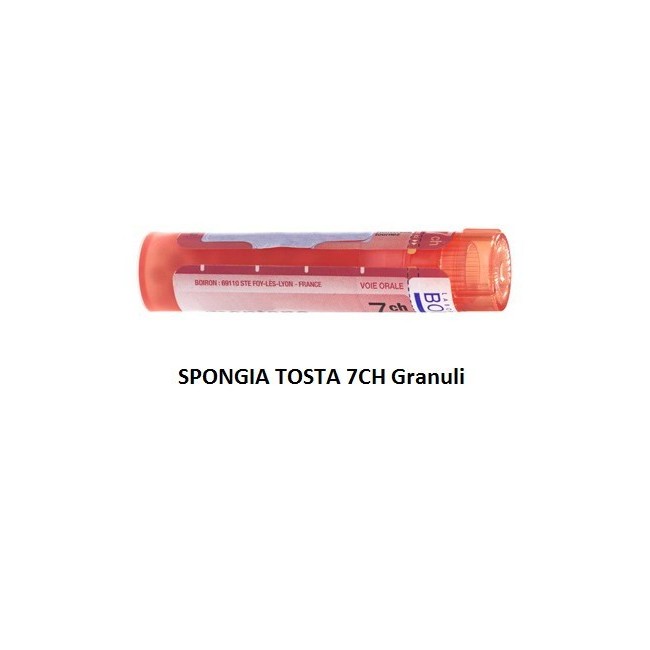 SPONGIA TOST 7CH GR 4G SPONGIA TOST 7CH GR 4G
