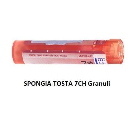 SPONGIA TOST 7CH GR 4G SPONGIA TOST 7CH GR 4G