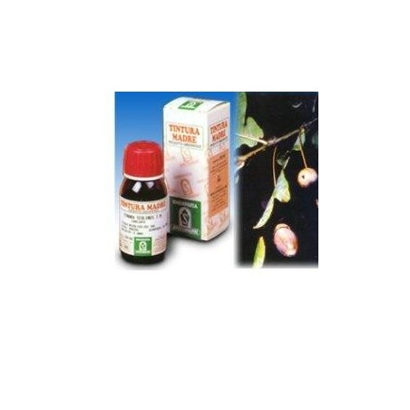 QUERCIA MARI 14 50ML TM