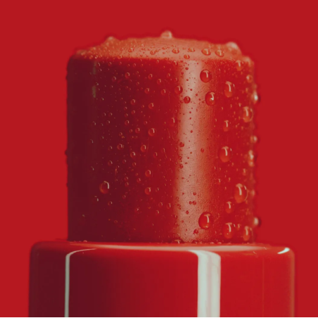 REPARADOR LABIAL MAROON BORGOG