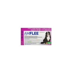 AMFLEE*spot-on soluz 3 pipette 4,02 ml 402 mg cani da 40 a 60 Kg