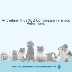 ANTHELMIN PLUS XL*2 cpr cani