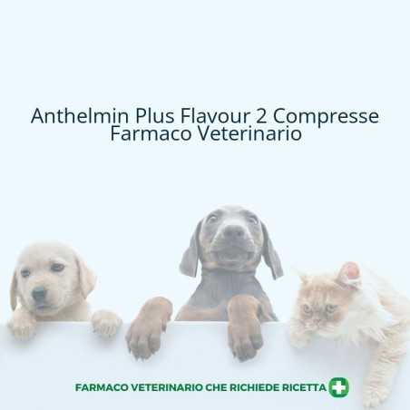 ANTHELMIN PLUS FLAVOUR*2 cpr divisibili 50 mg + 144 mg + 150mg cani ANTHELMIN PLUS FLAVOUR*2 cpr divisibili 50 mg + 144 mg + 150mg cani