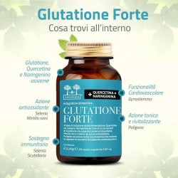 GLUTATIONE FORTE SALUGEA 60CPS GLUTATIONE FORTE SALUGEA 60CPS